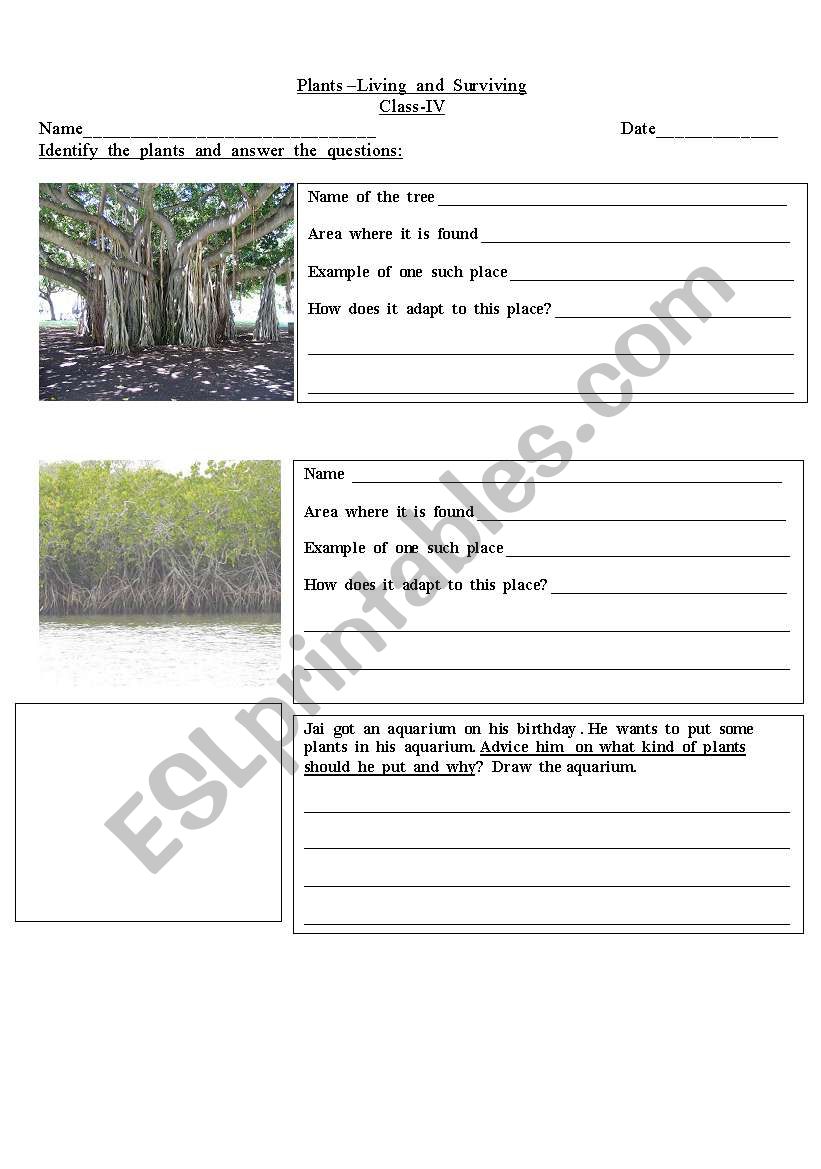 plants living and surviving-1 worksheet