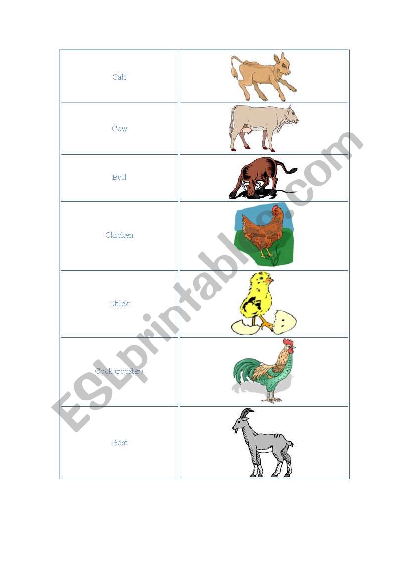 animals worksheet