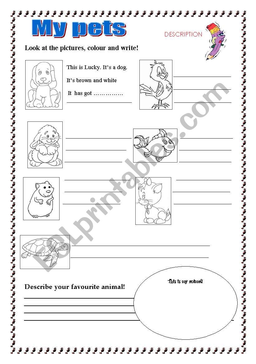 My pets! worksheet