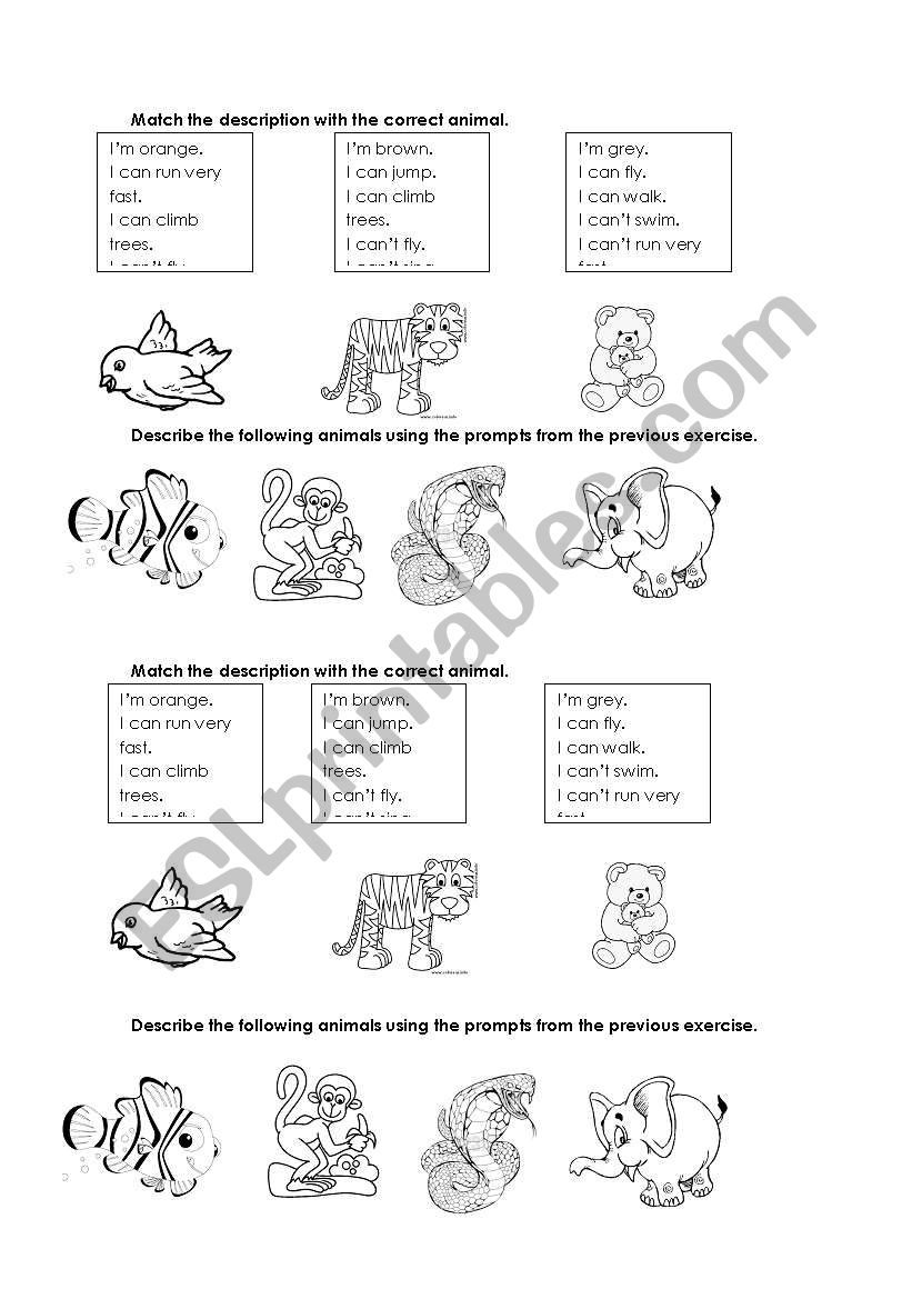Description of animals - Can/Can´t