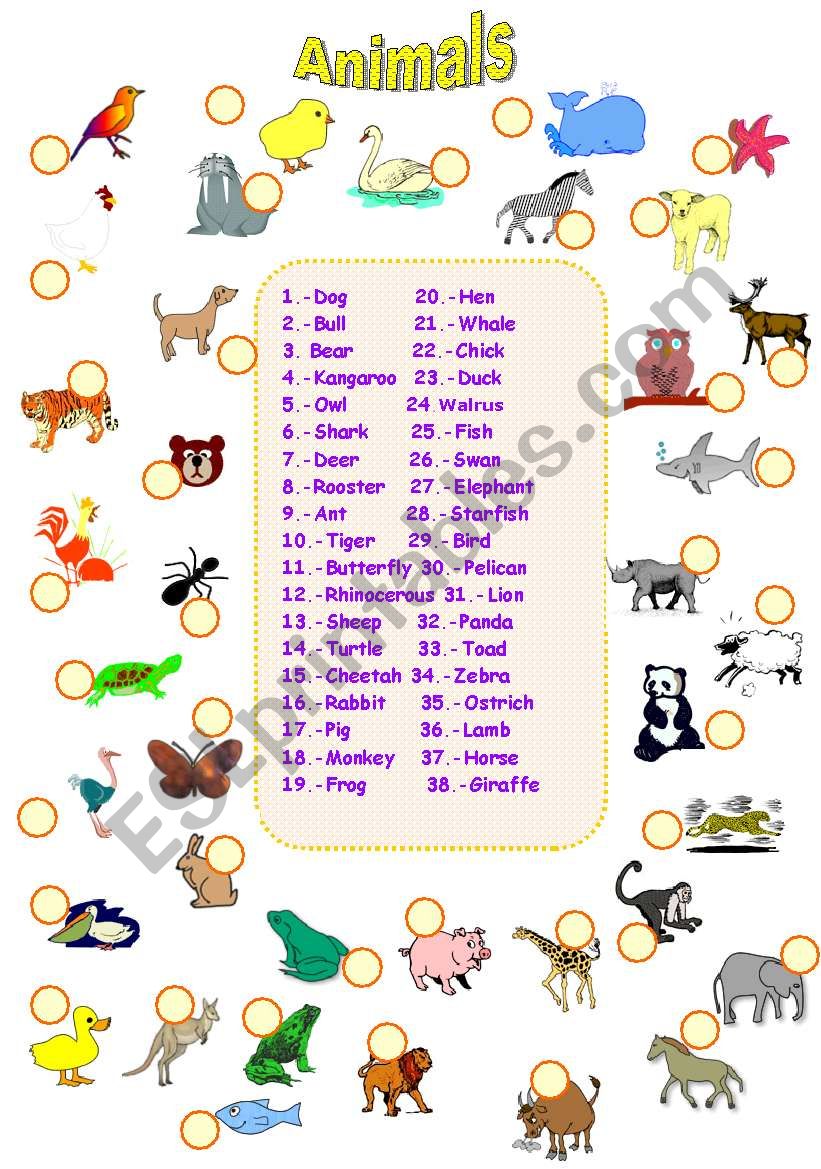 ANIMALS worksheet