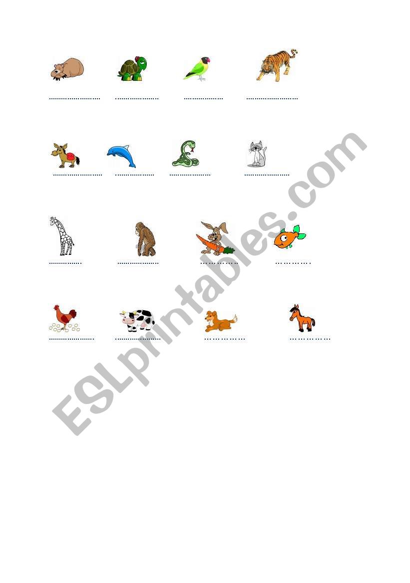 animals worksheet