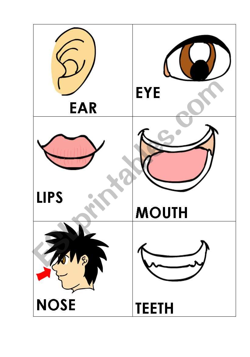 Face worksheet