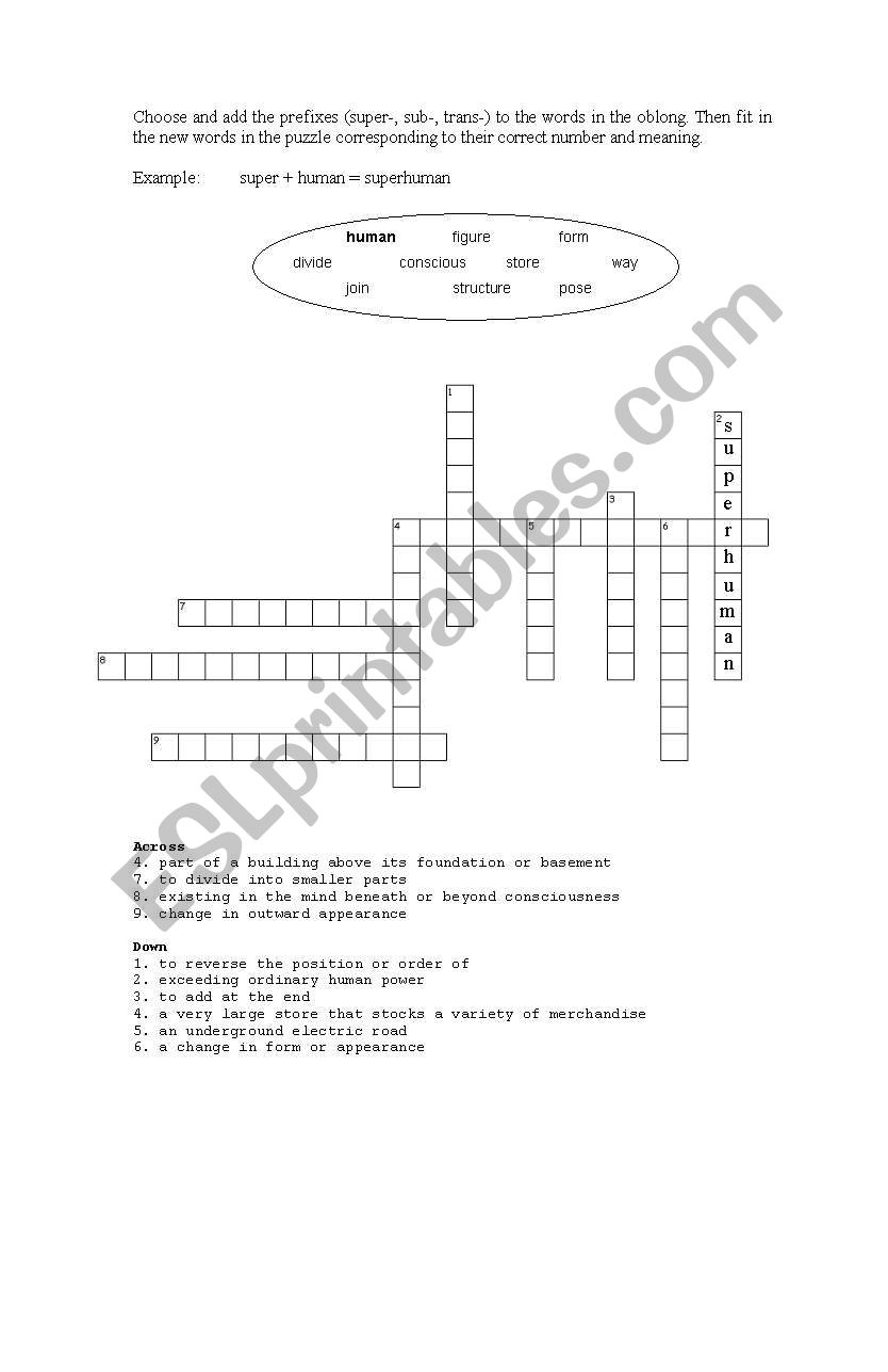 Prefix Puzzle worksheet