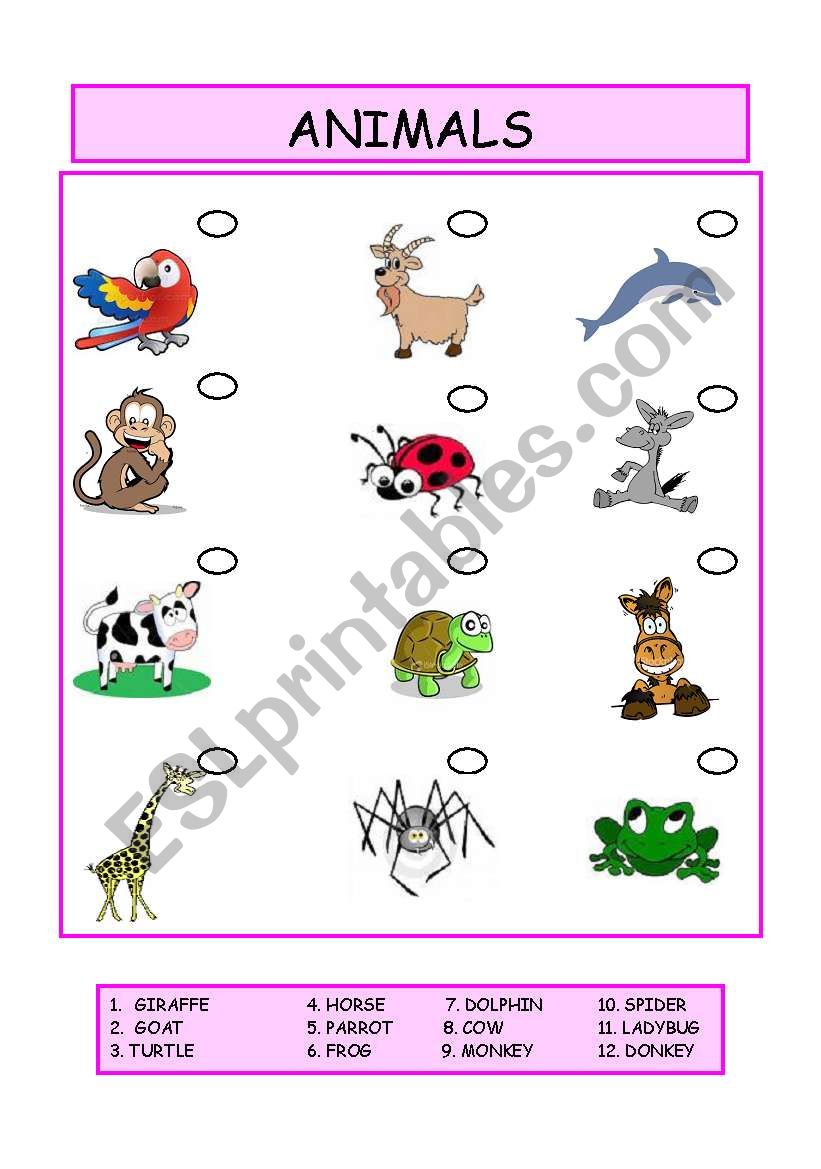 ANIMALS worksheet