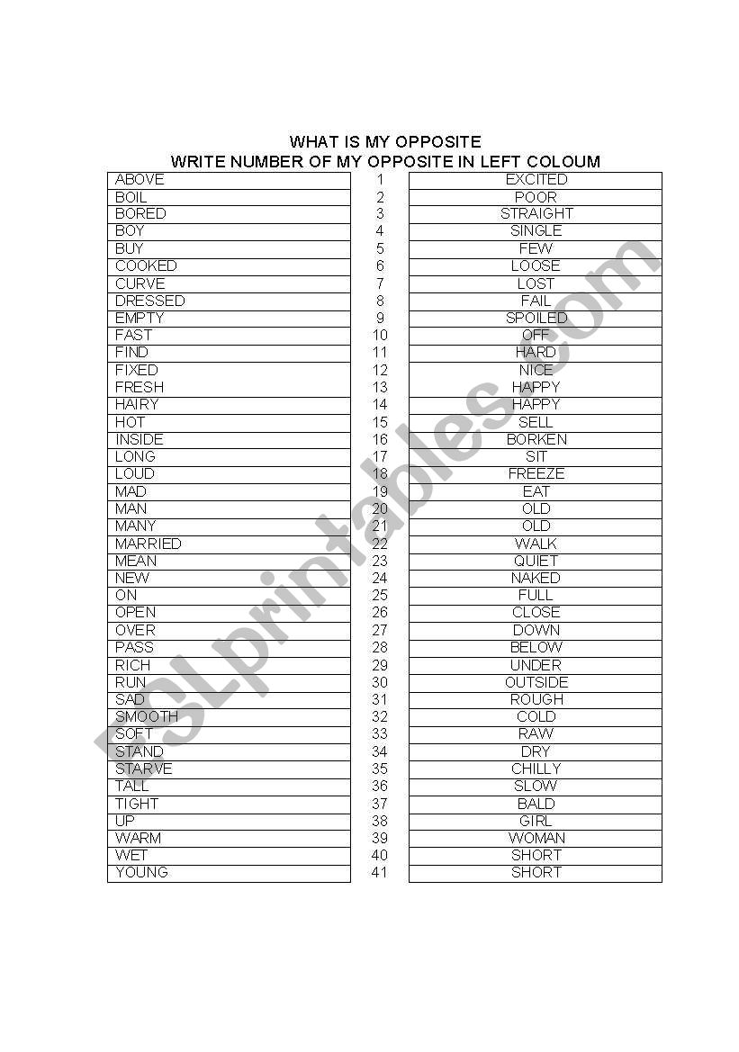 WHAT IS MY OPPOSITE WORKSHEET worksheet