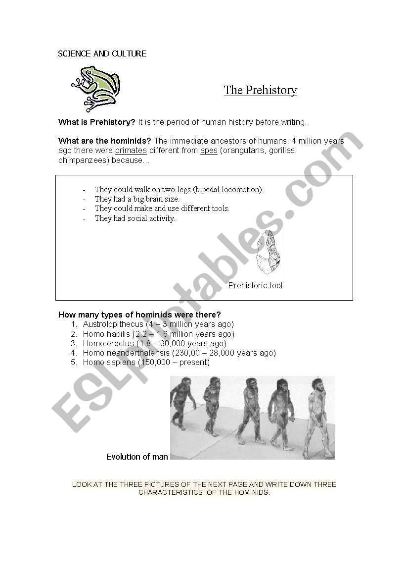 The Prehistory ( 1/2 ) worksheet