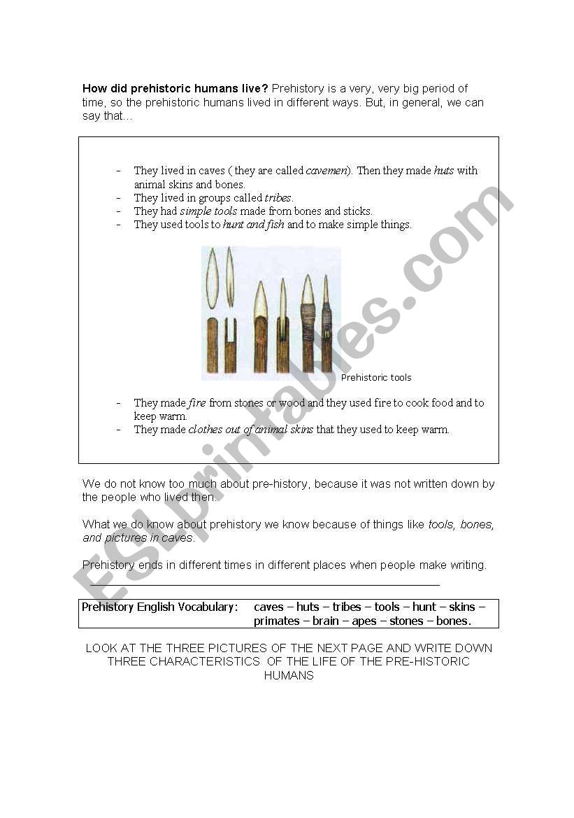 The Prehistory ( 2/2 ) worksheet