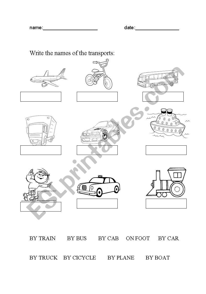 transport worksheet