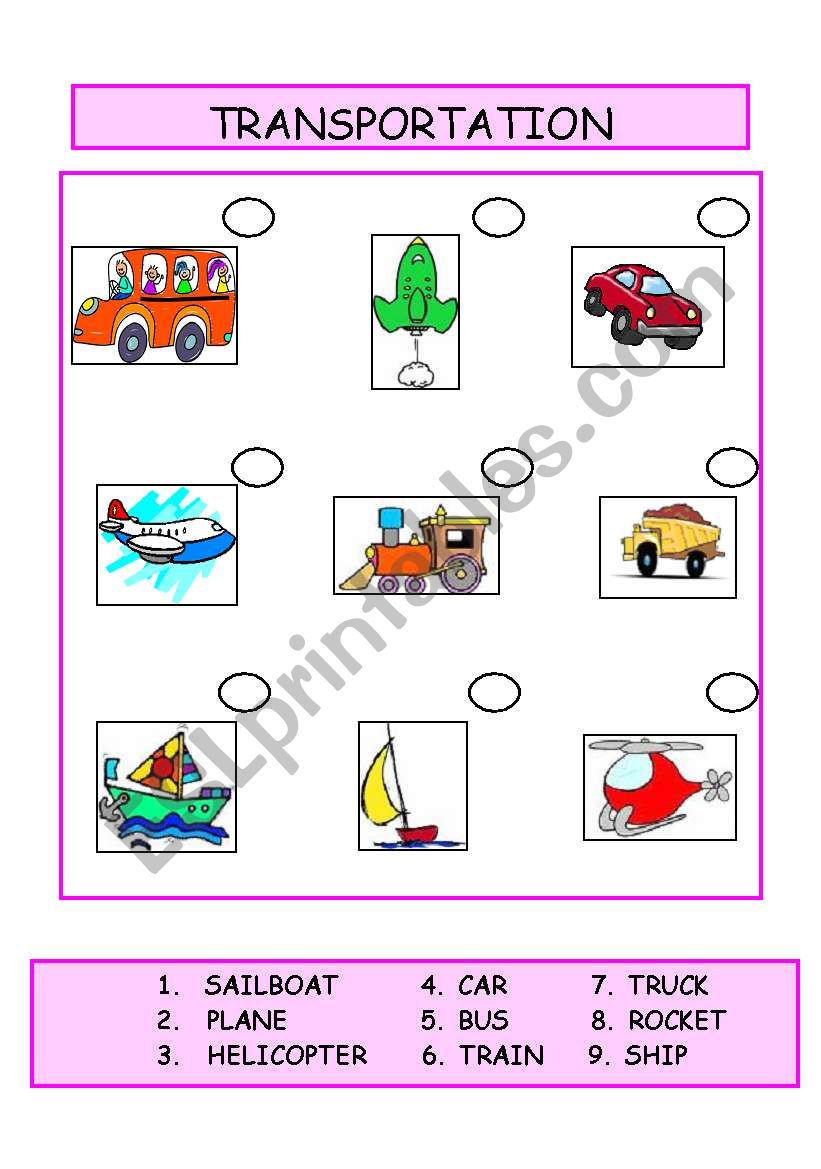 TRANSPORTATION worksheet