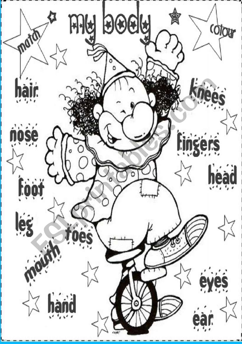 my body worksheet