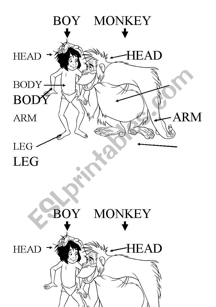 body parts - Mowgli worksheet