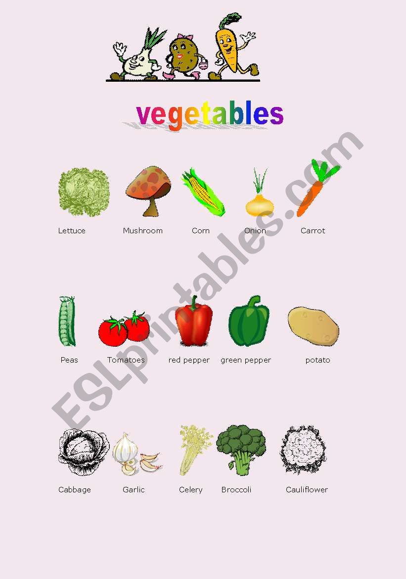 vegetables pictionary two pages