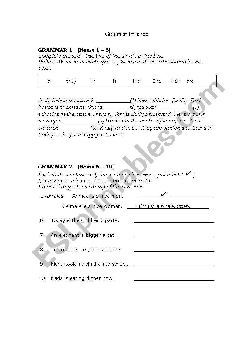 grammar Practice worksheet