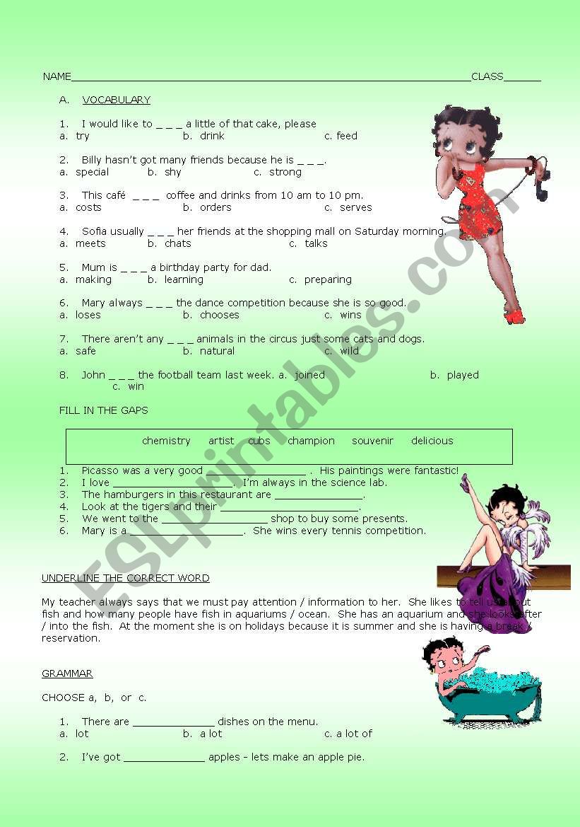 GRAMMAR N VOCABULARY worksheet