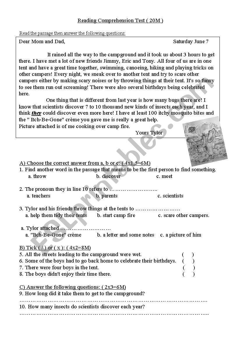 The camping trip worksheet