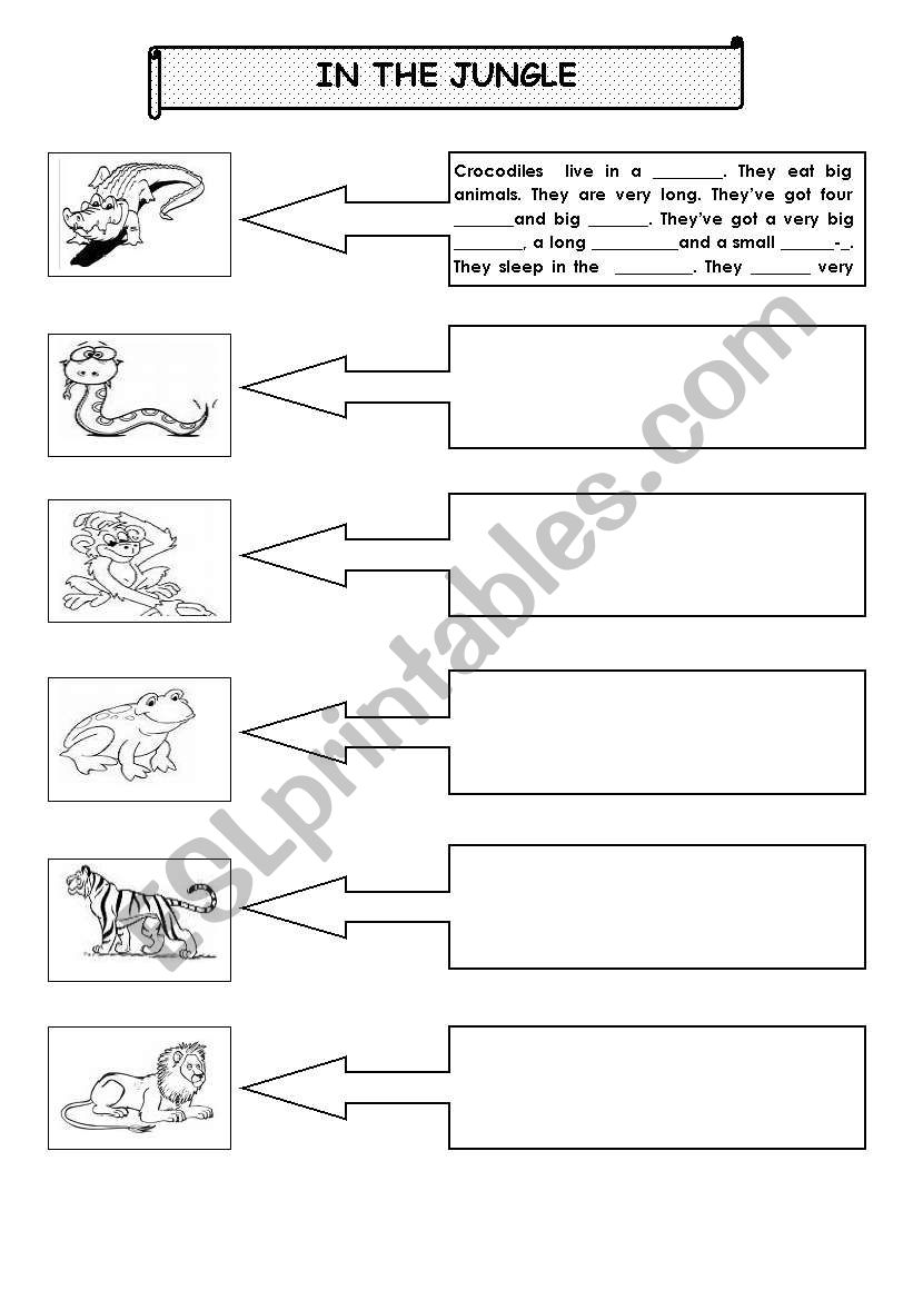 DESCRIBING ANIMALS worksheet