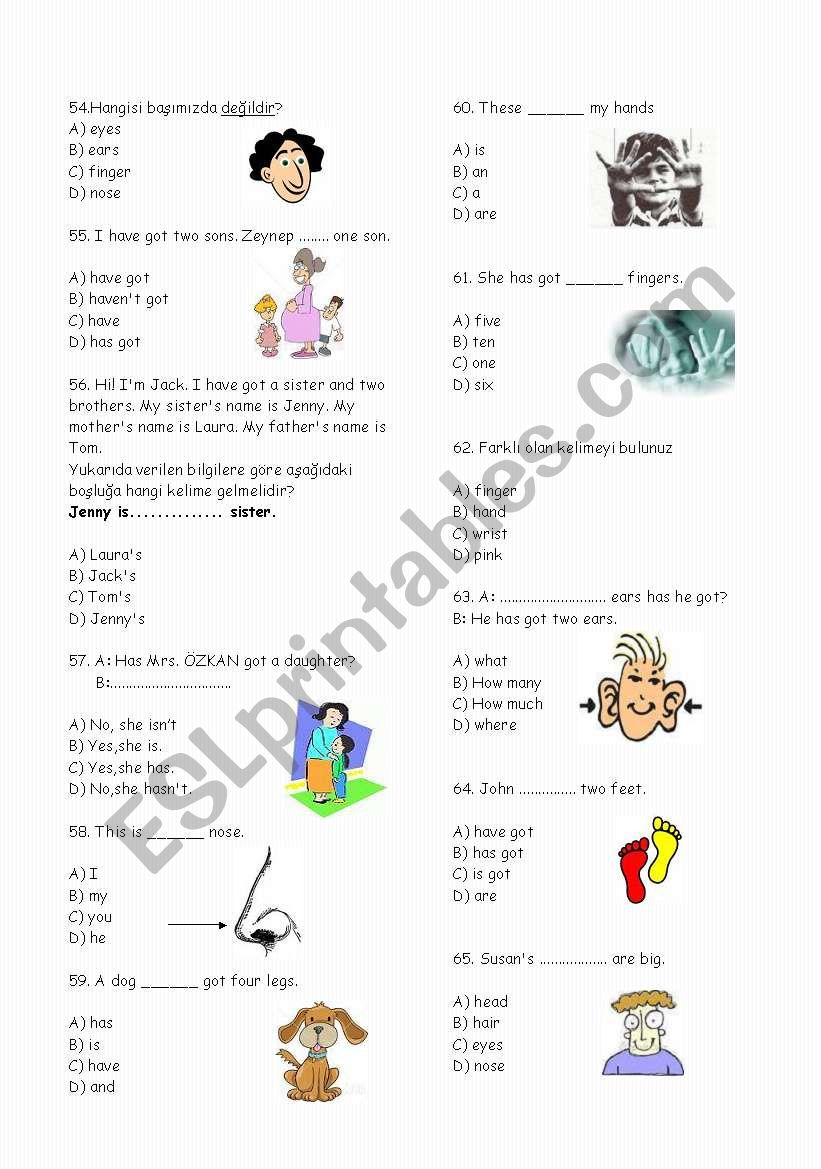 4th Grades Test  -75 Questions (Part 3)