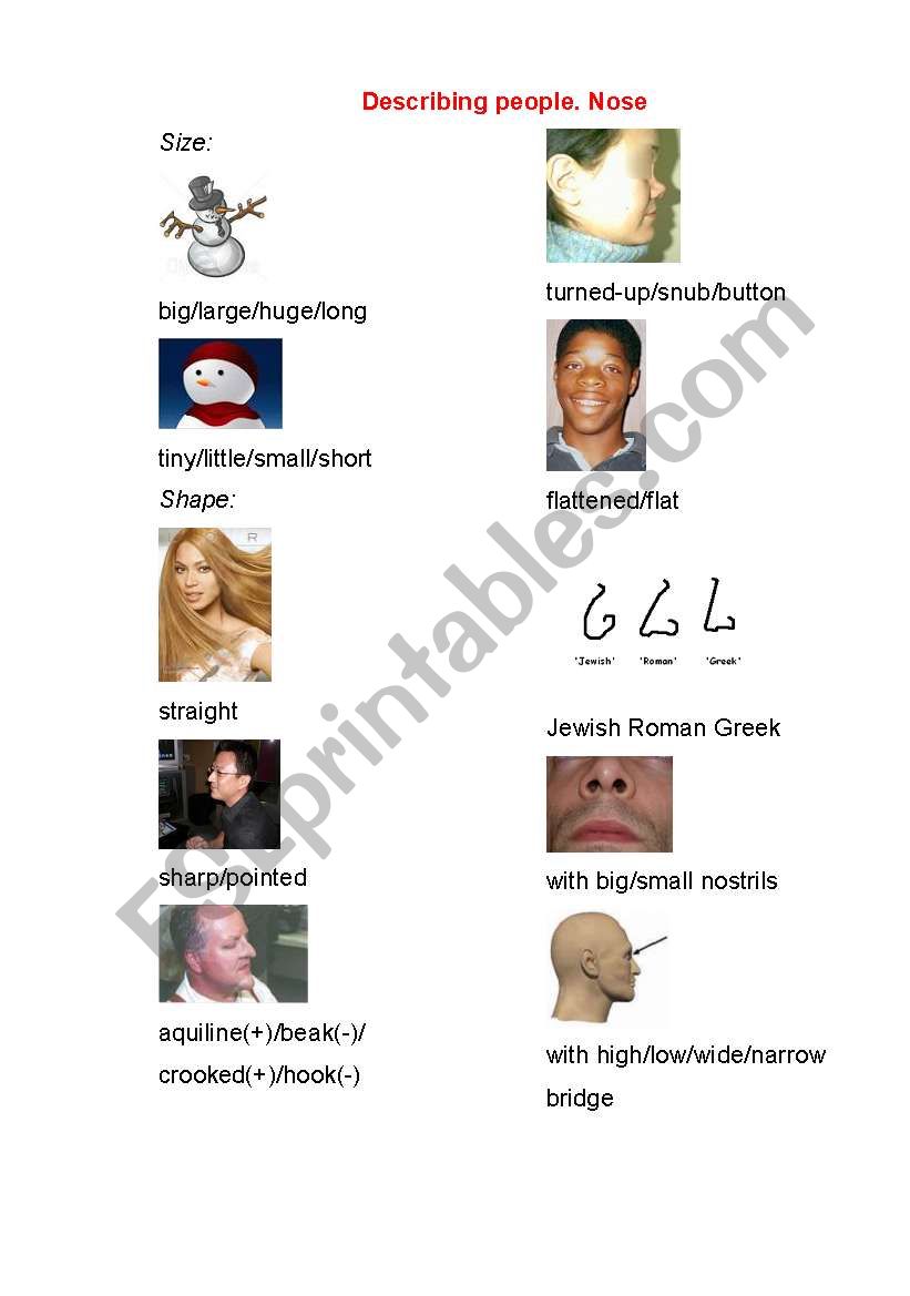 Describing people. Pictionary. Nose