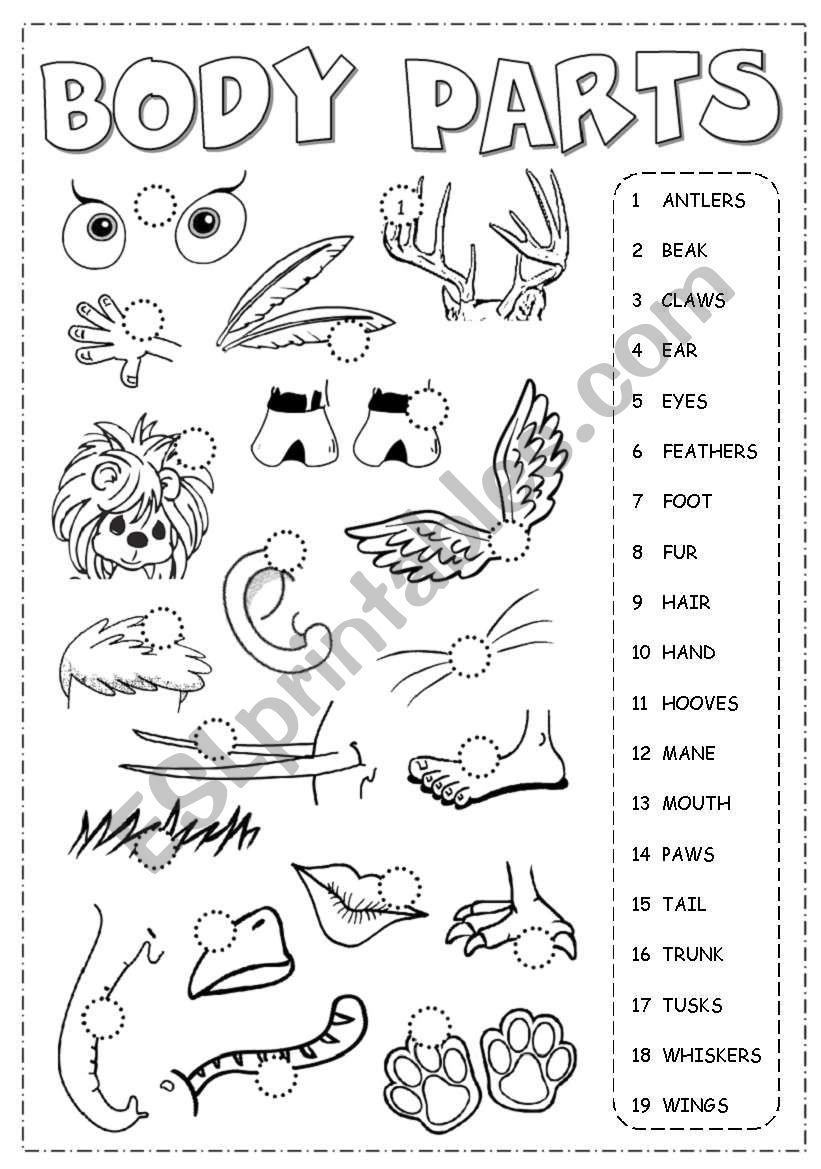 Body Parts Picrionary worksheet