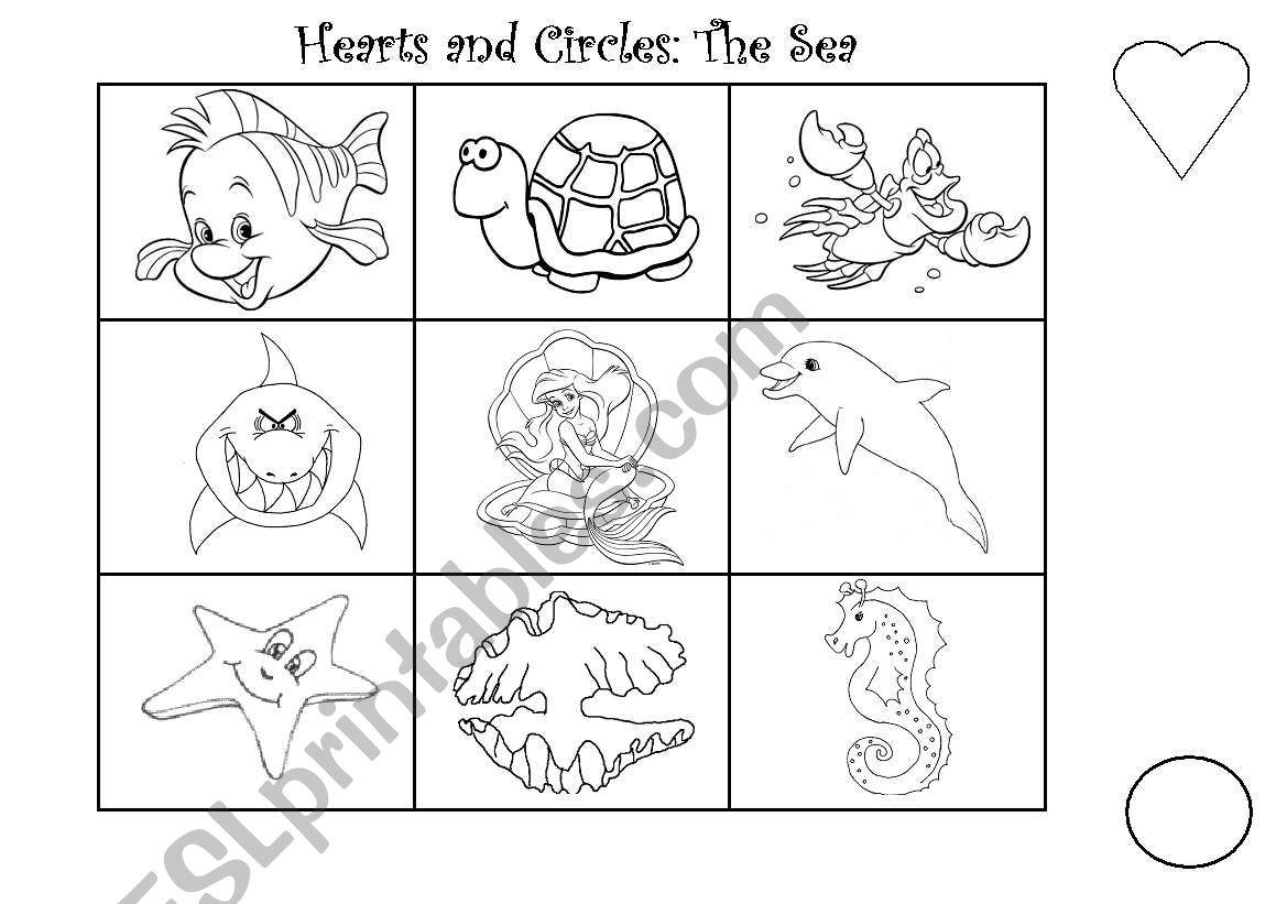 sea animalls worksheet