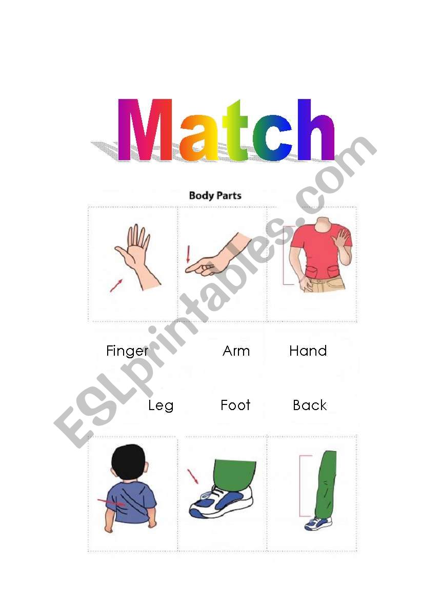 parts of body worksheet