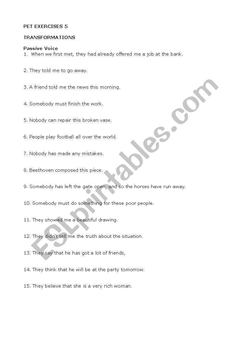 PET EXERCISES 5 worksheet