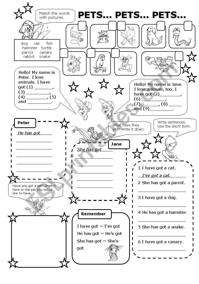 PETS (have/has got) worksheet