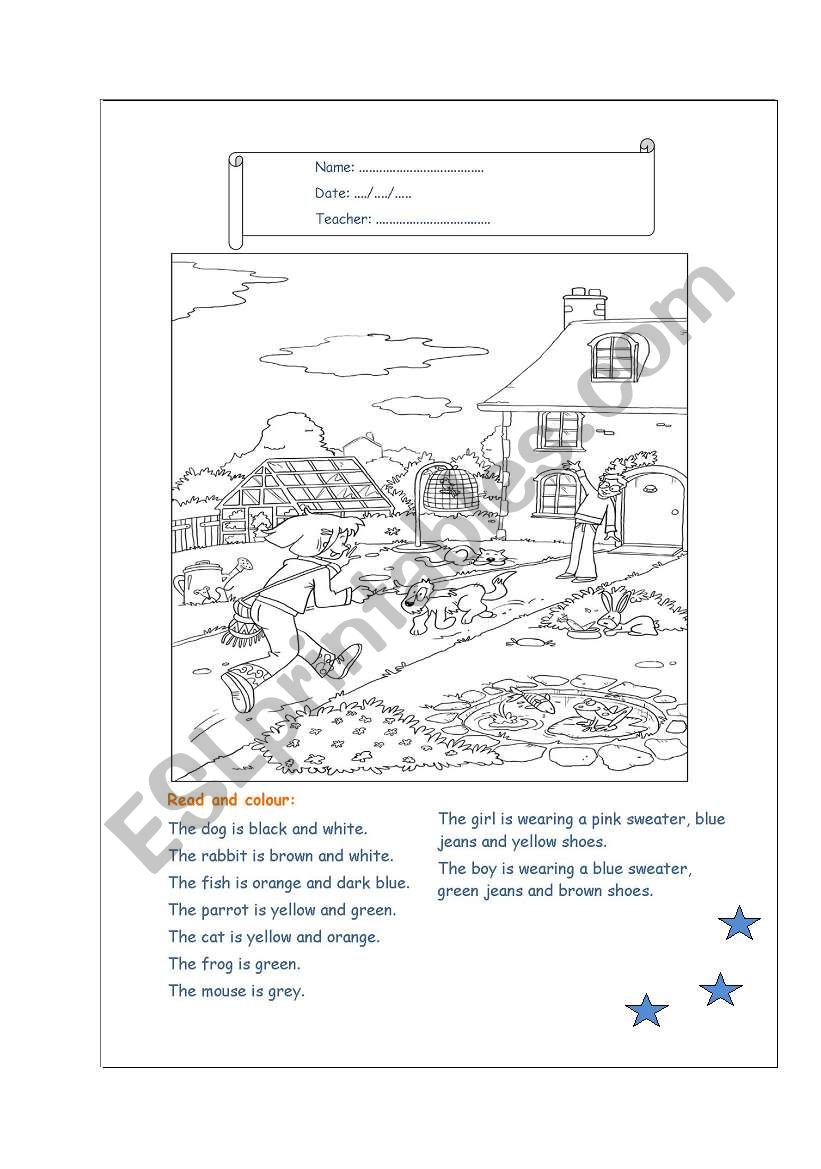 Read And Colour Esl Worksheet By Majav