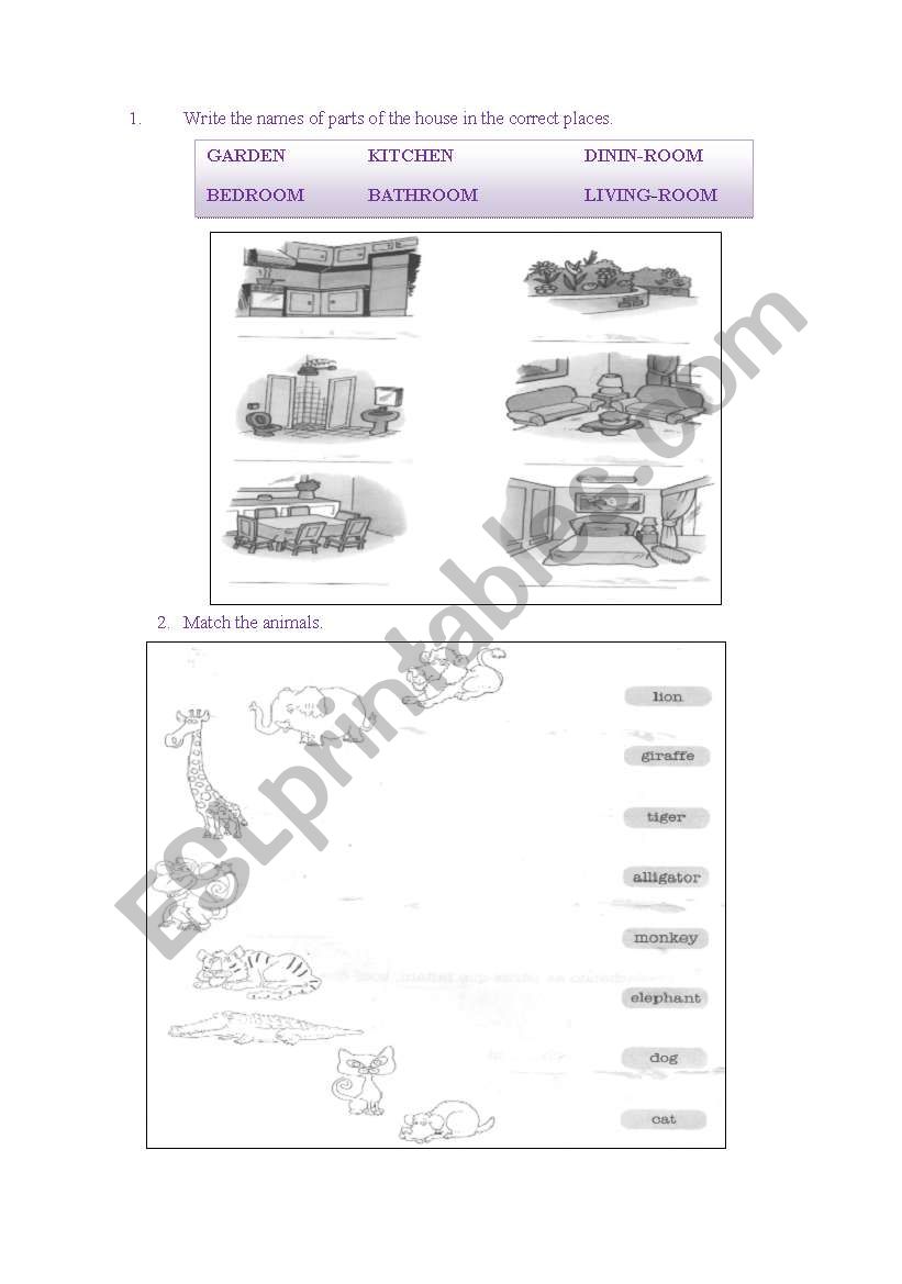 Activity worksheet