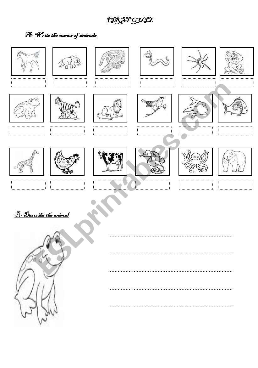 QUIZ ON ANIMALS worksheet