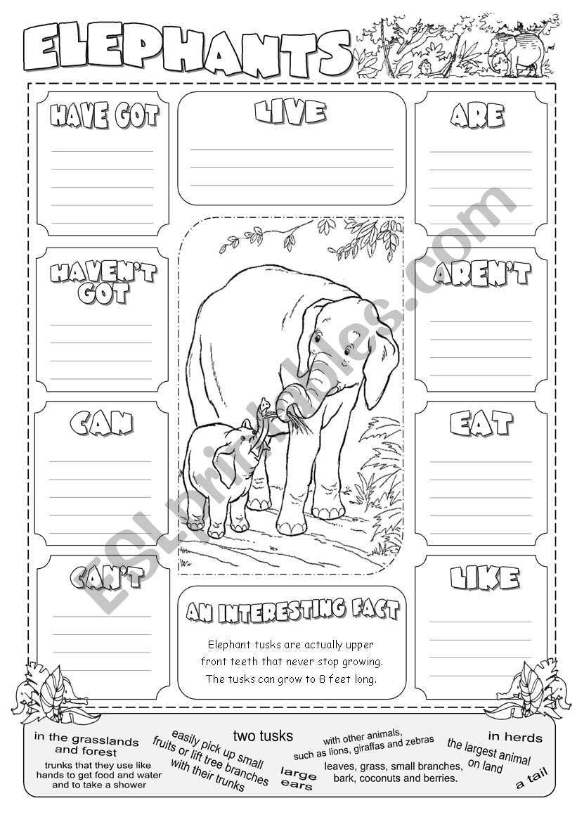 Describing Elephants worksheet