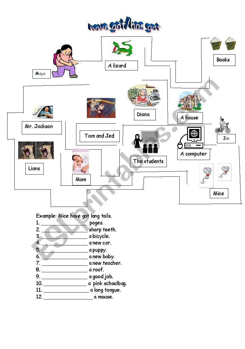 Have/Has Got  worksheet