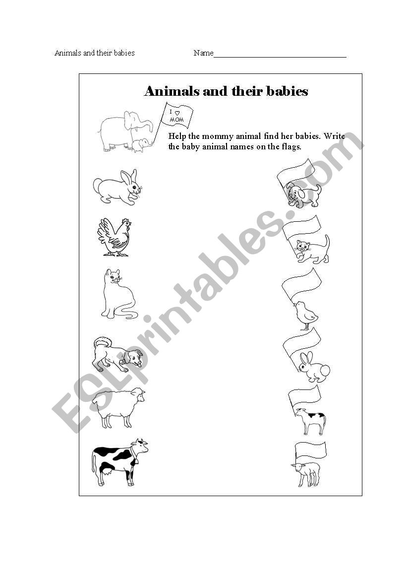 Animals and their babies worksheet