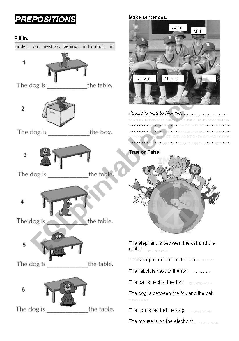 PREPOSITIONS - under, on, in, behind, in front of, next to