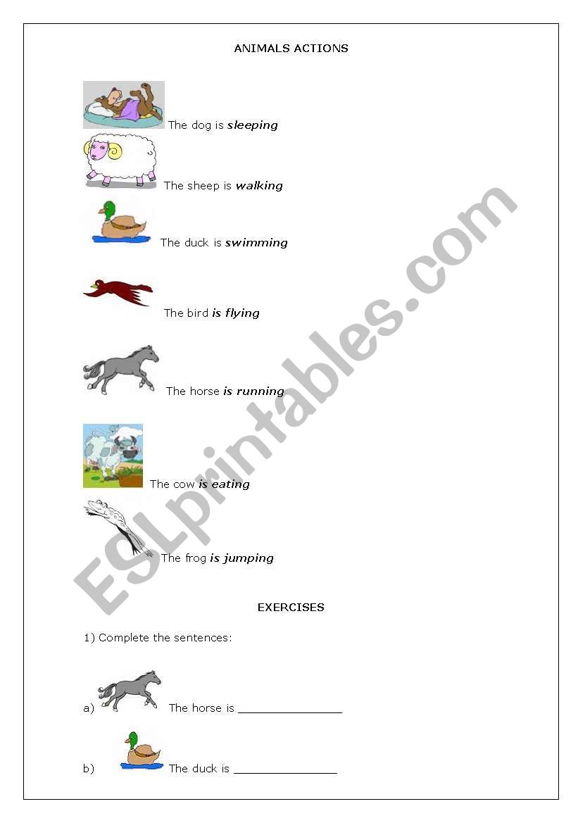 Animals actions worksheet