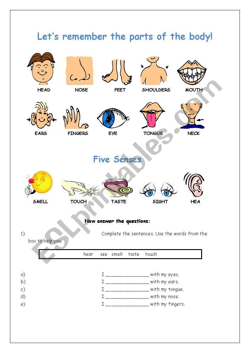 The five senses worksheet