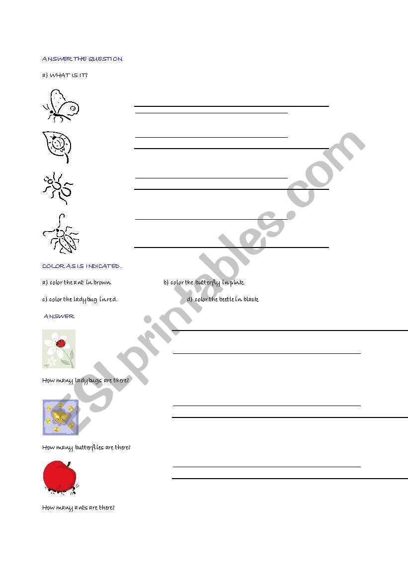 bug worksheet