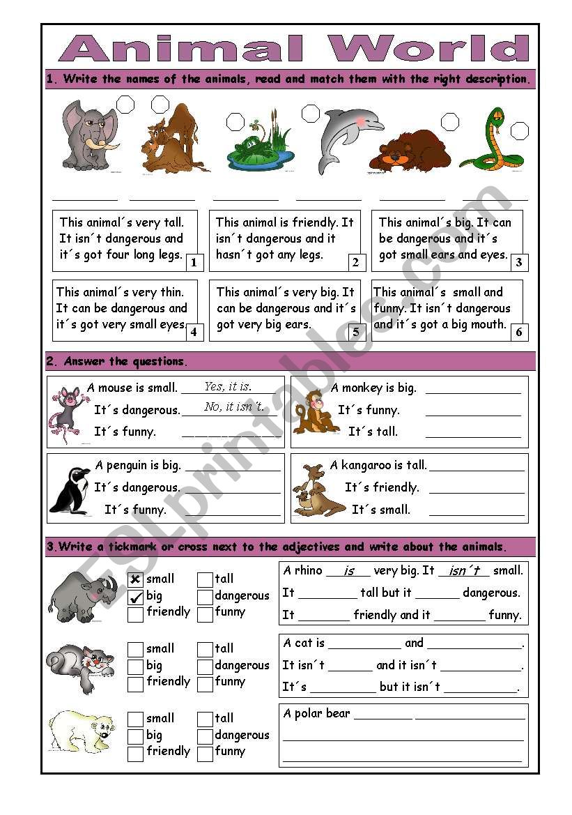 Animal World: Basic Adjectives & Short Answers