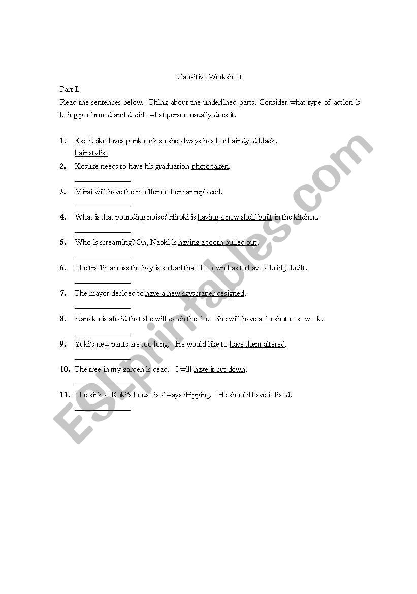Causitive Worksheet worksheet
