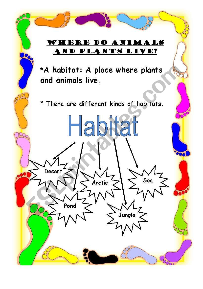 Habitat 1 worksheet
