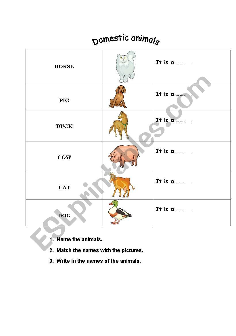 Domestic Animals worksheet