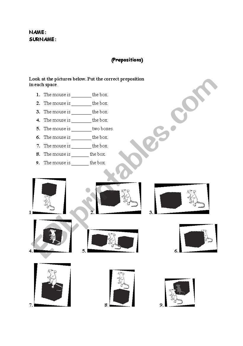 prepositions worksheet