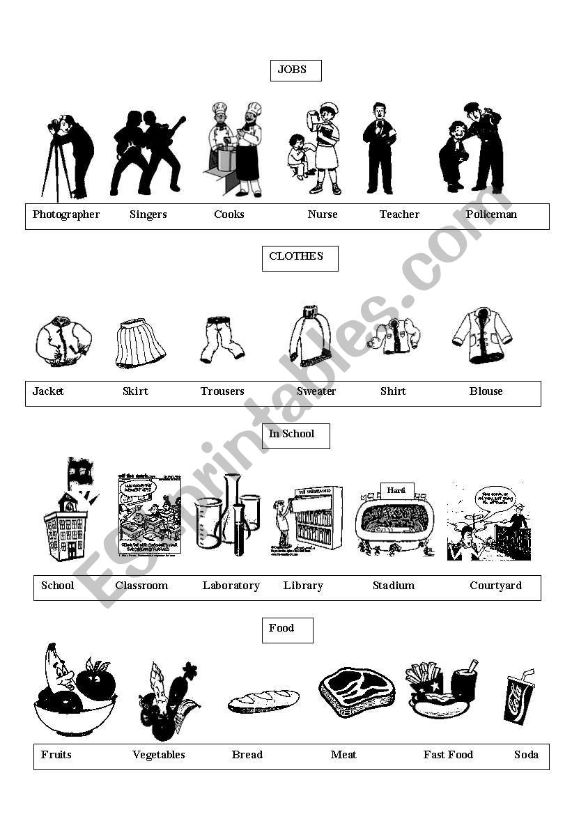 vocabulary worksheet