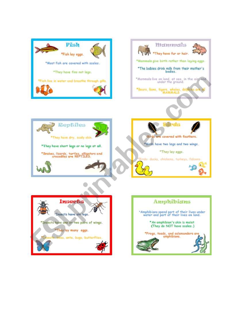 Types of animals worksheet