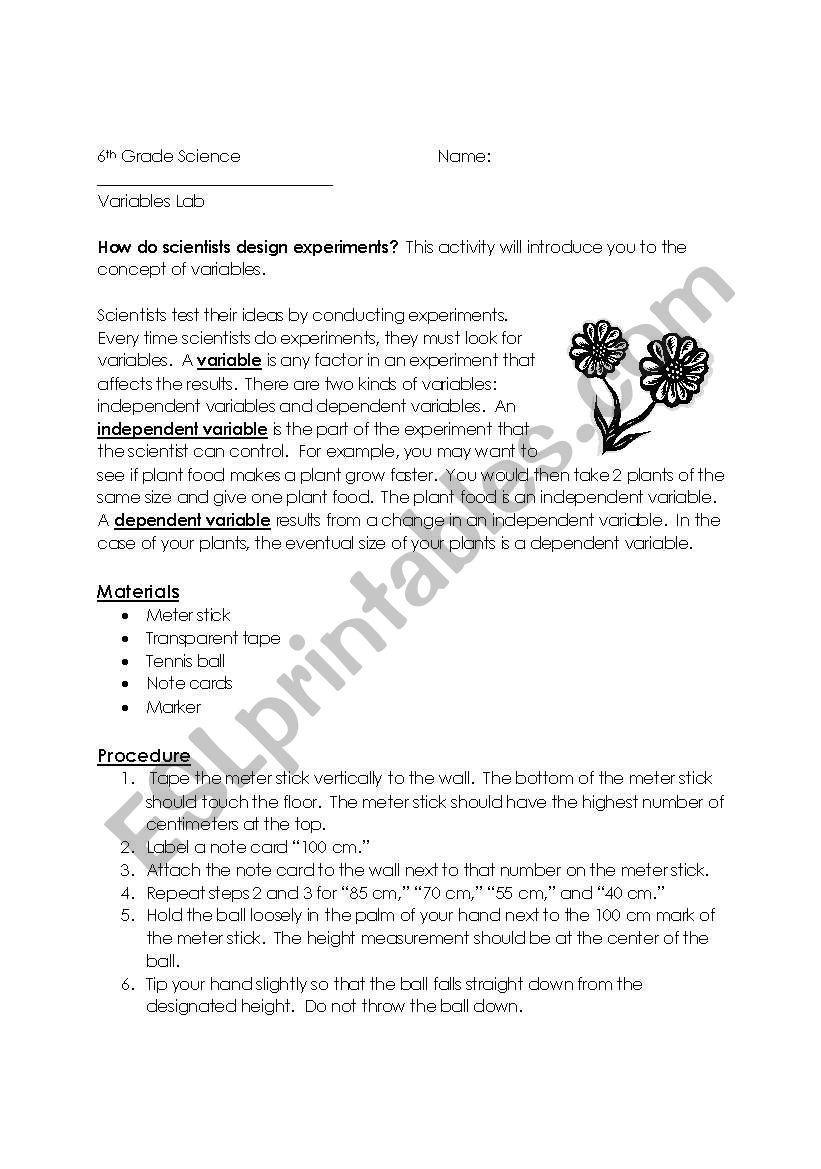 Variable Science Lab worksheet