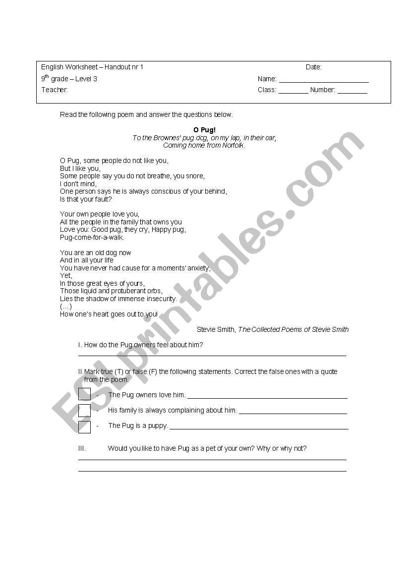 Pets worksheet