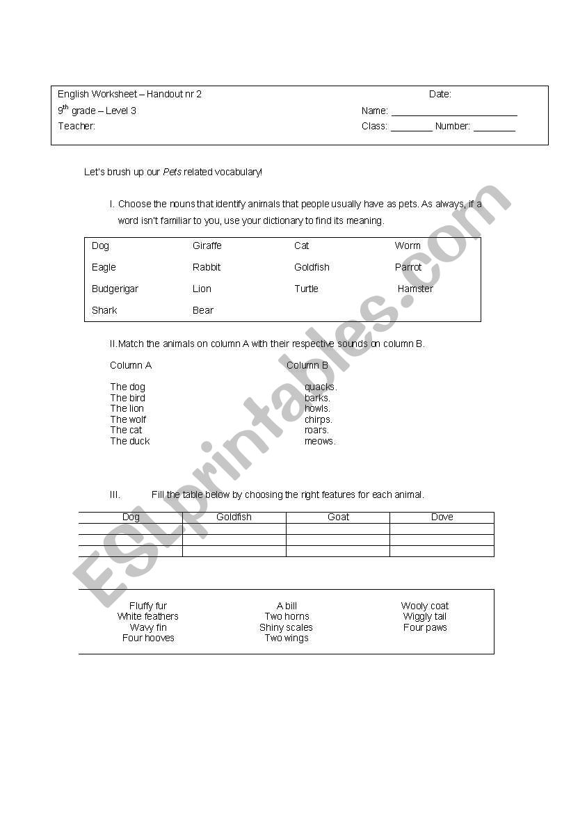 Pets worksheet