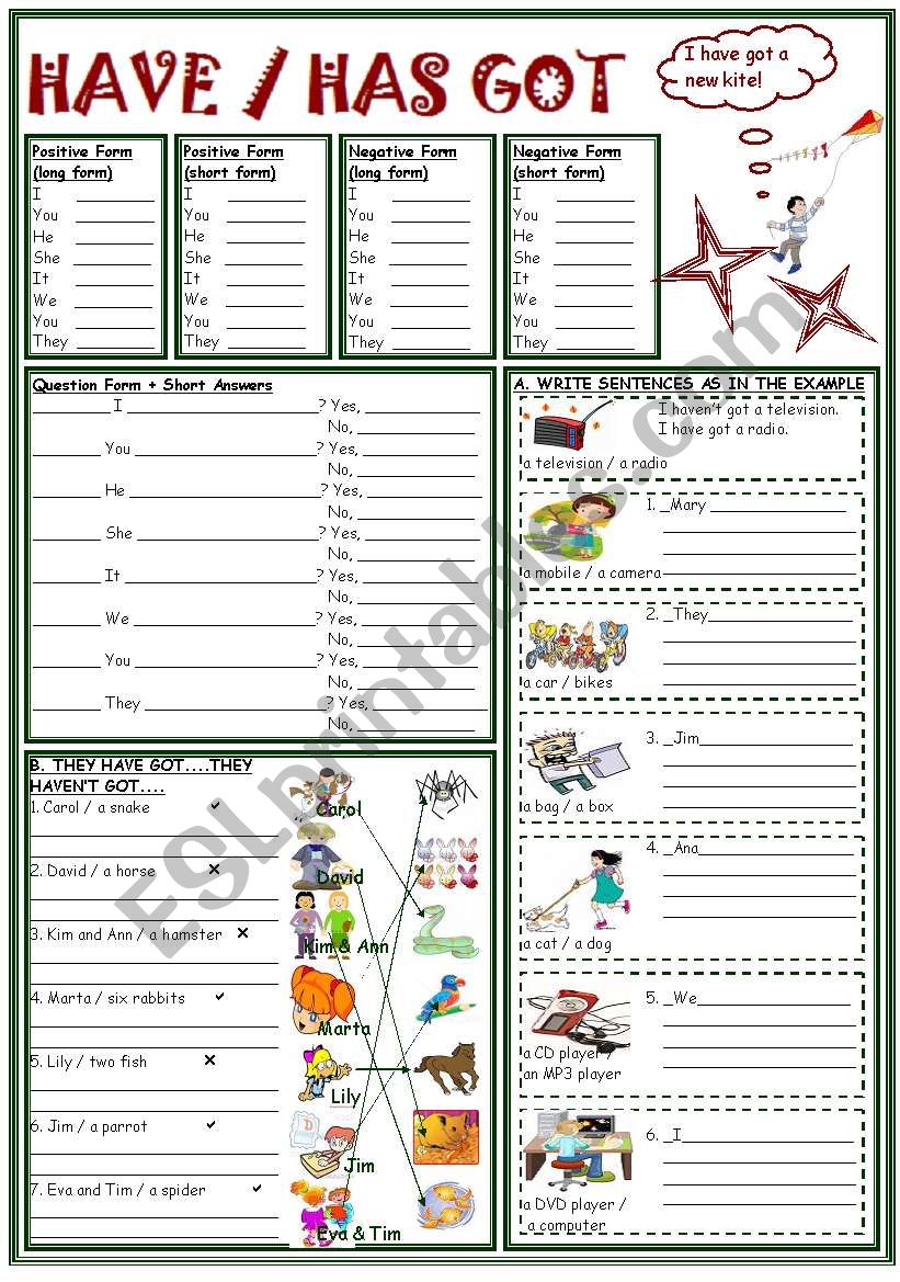 HAVE / HAS GOT PRACTICE worksheet