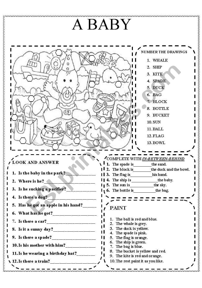 A BABY  worksheet